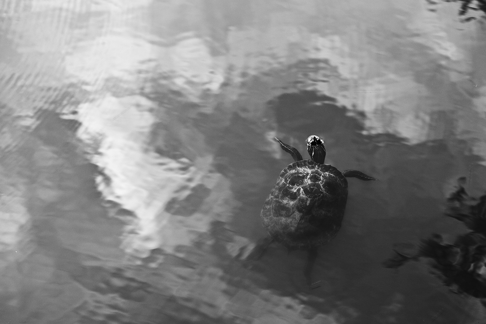 10_plataformadesalto_SebastianBejarano