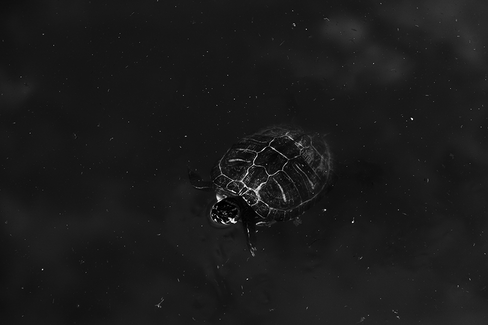 10a_plataformadesalto_SebastianBejarano