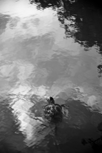 11_plataformadesalto_SebastianBejarano