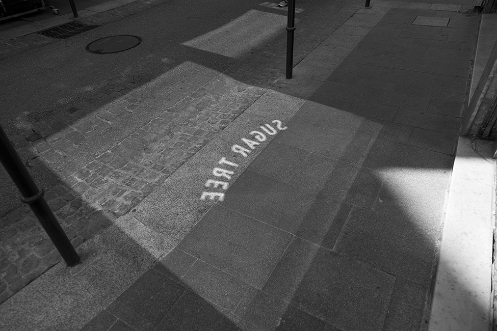 14_plataformadesalto_SebastianBejarano