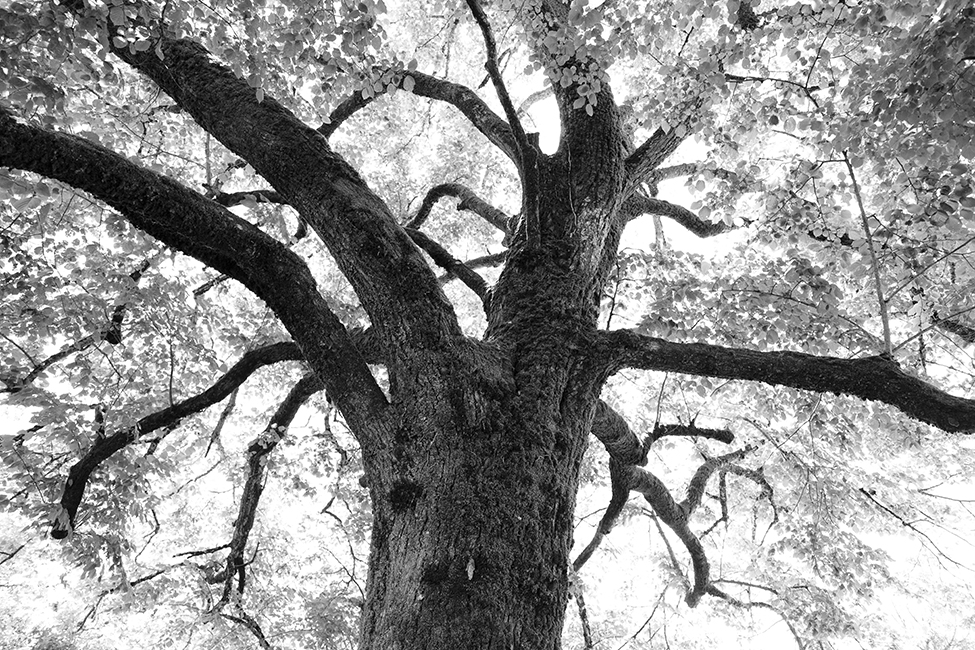 15_plataformadesalto_SebastianBejarano