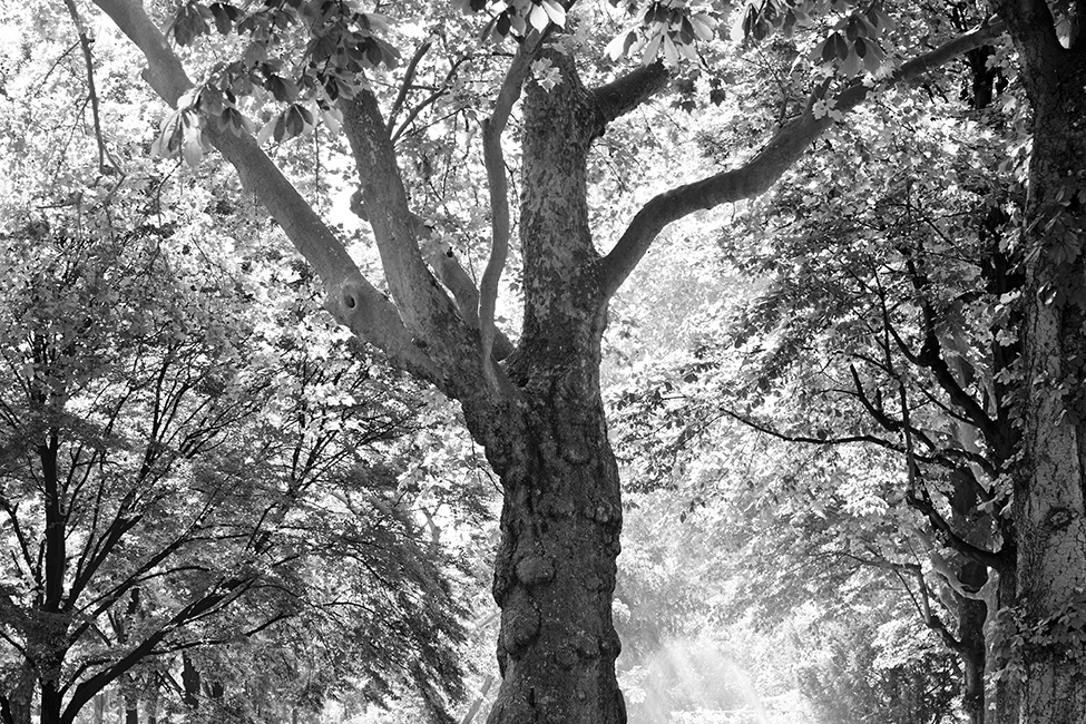 17_plataformadesalto_SebastianBejarano