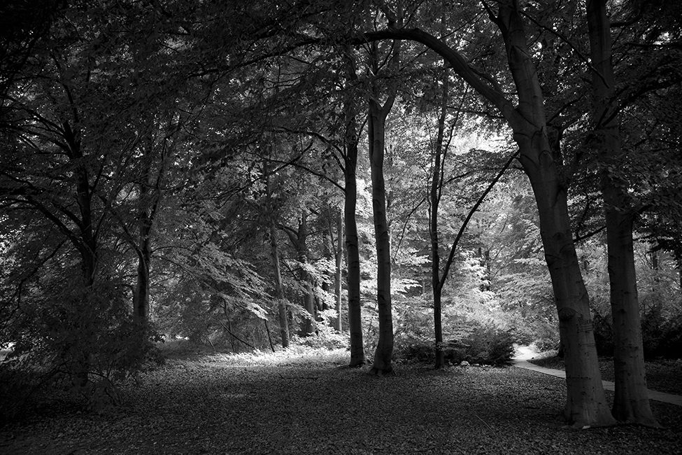 24_plataformadesalto_SebastianBejarano