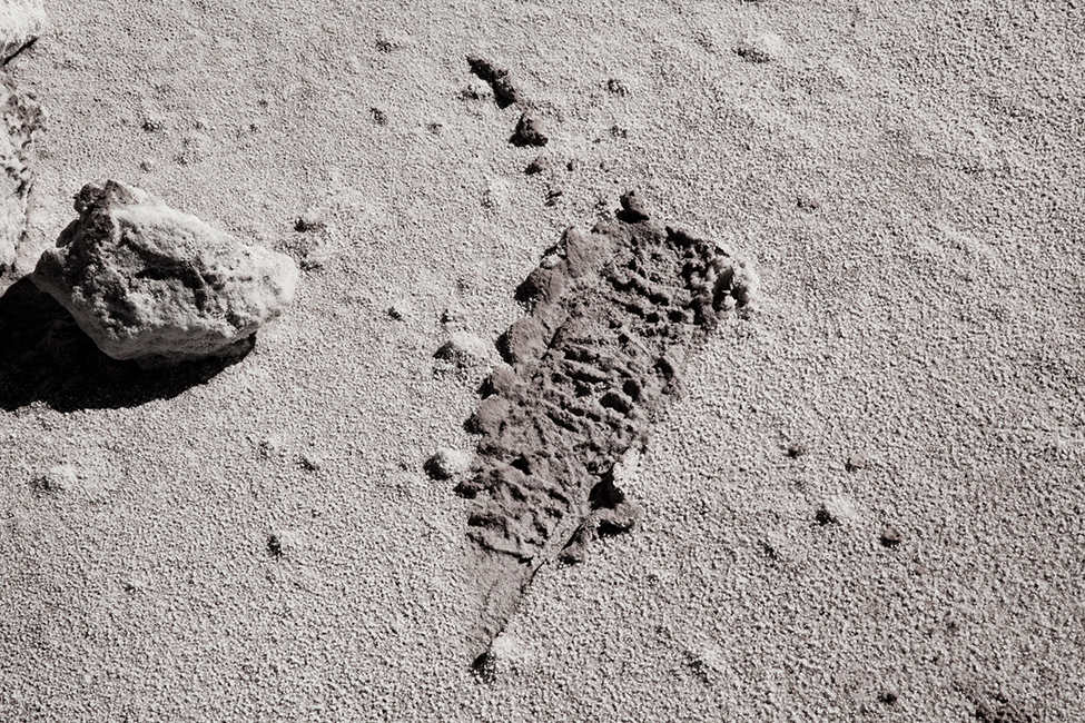 48_plataformadesalto_SebastianBejarano