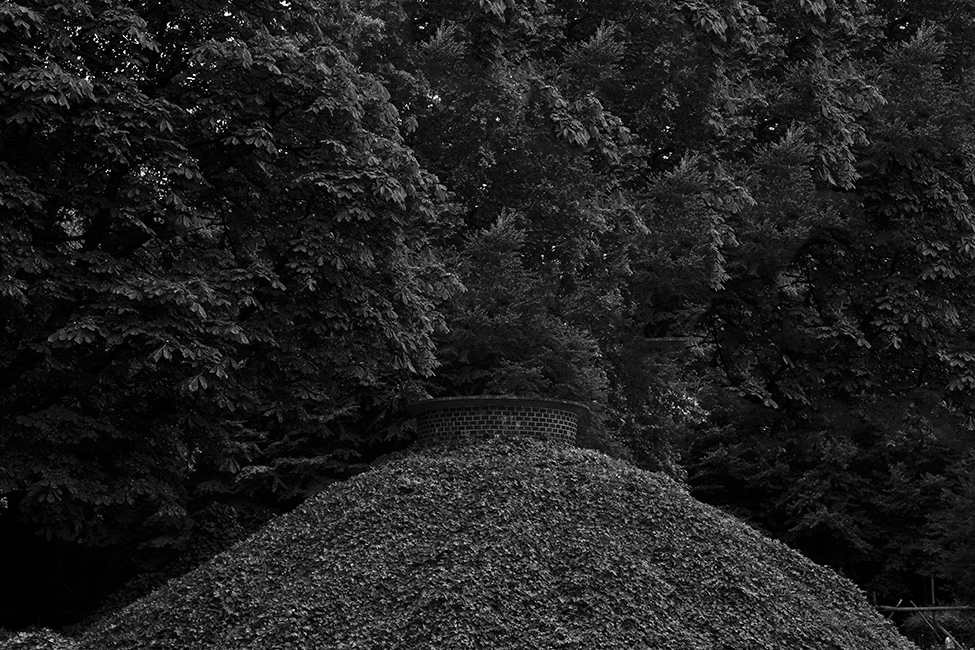 6_plataformadesalto_SebastianBejarano