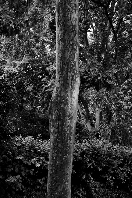 8_plataformadesalto_SebastianBejarano